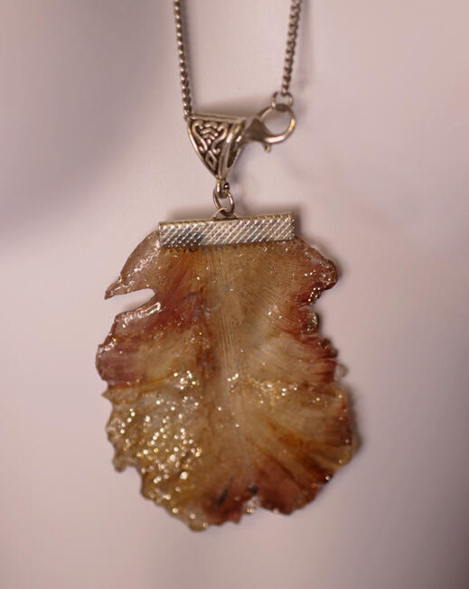 KN0029 ...25 € Echtes Tulipenblatt im Harz